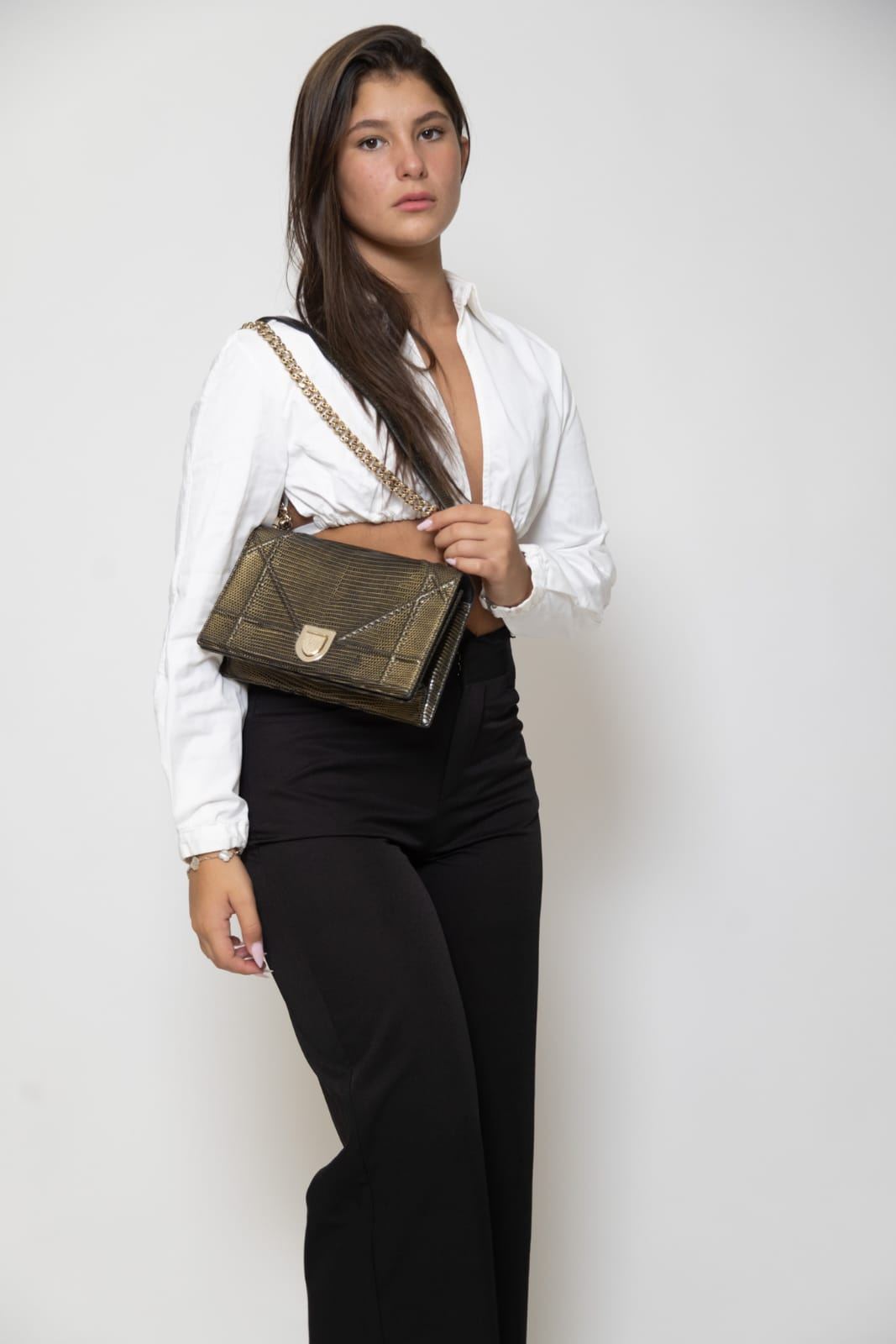 Christian Dior Diorama Lizard Small Bag