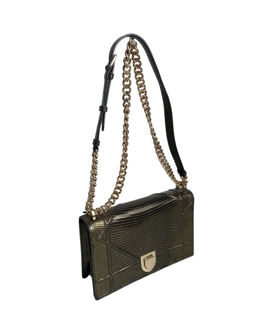 Christian Dior Diorama Lizard Small Bag